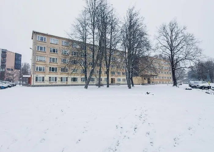 Apartmán Furnished With A Very Good Location In Kristiine Tallinn